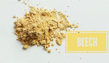 Beech Loose Powder